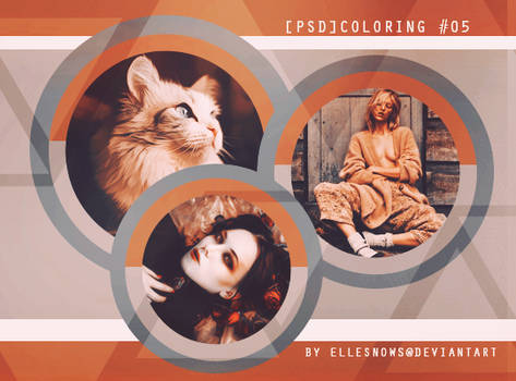 [PSD] Coloring #05