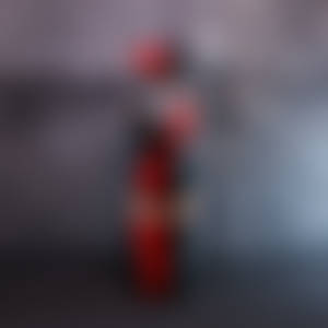 Harley captured
