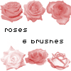 roses set