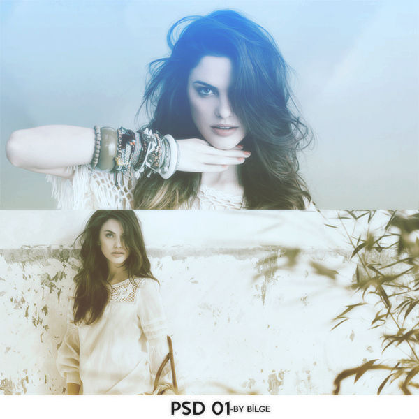 PSD 01 by BilgeWinchester on DeviantArt