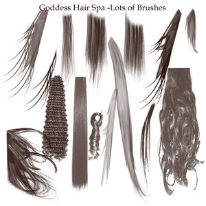 Hair Brushes adobe 7