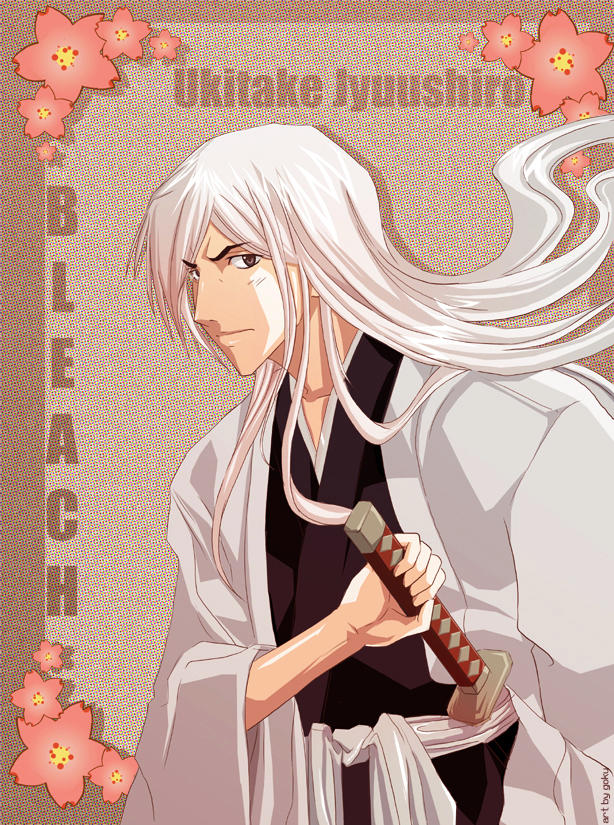 Bleach Jushiro x Reader Fight by wildwolf1111111111 on DeviantArt