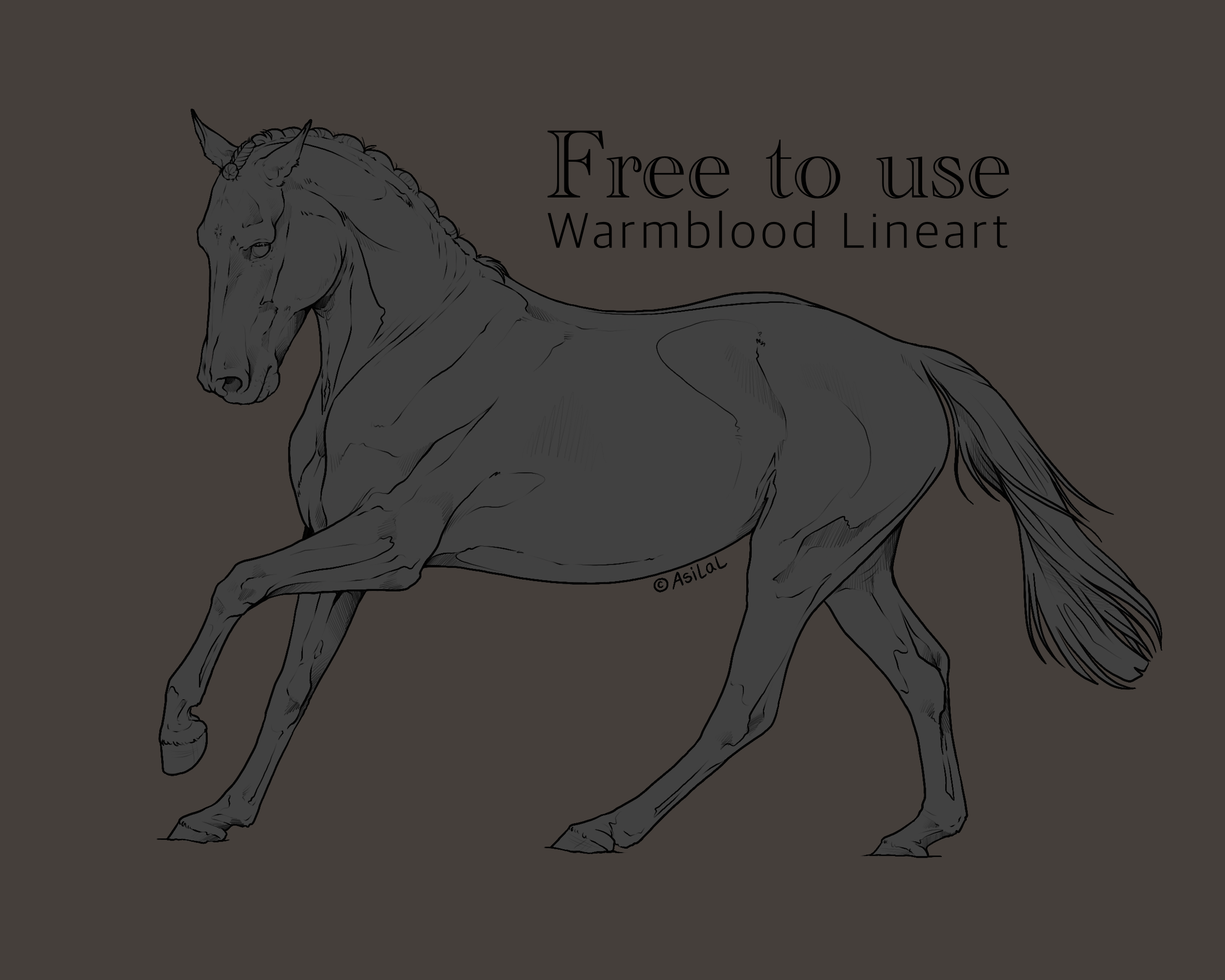 Warmblood Lineart | Free to use by Asilal on DeviantArt