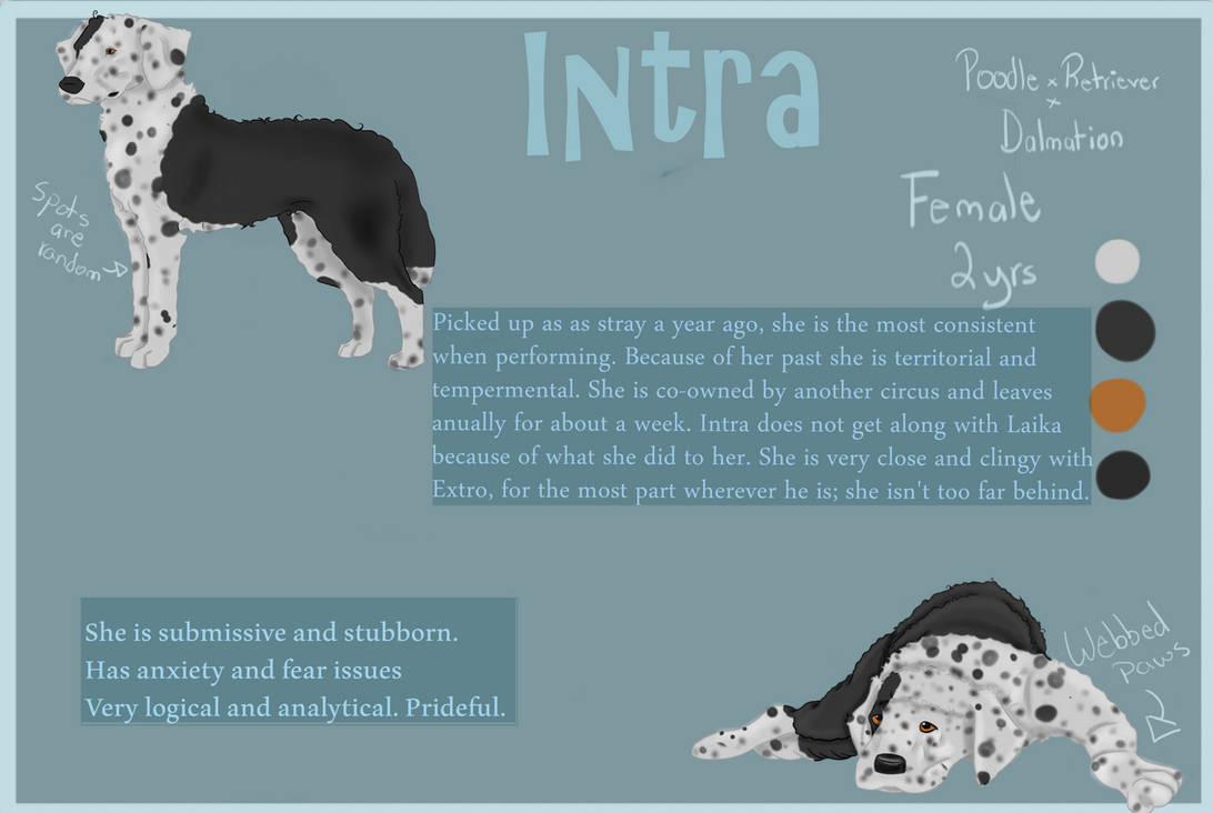 Intra by fangpaw331 on DeviantArt