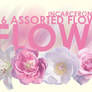 Flower PNG Pack
