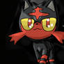 A little Litten