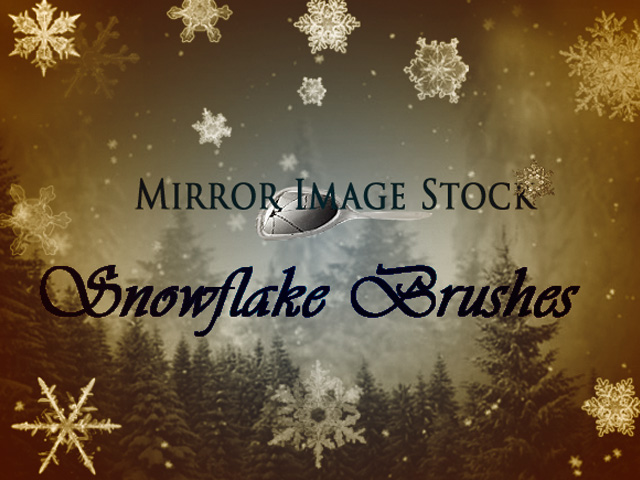 Snowflake Brushes