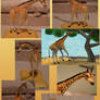 Zoo Tycoon Paper Collection - Reticulated Giraffe