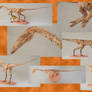 Walking With Papercraft - Coelophysis