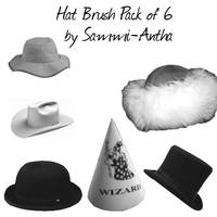 Hat Brush Pack of 6