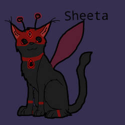 Sheeta