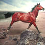 Corrageous! ( The Scorpio Races )