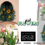 PSD Flowers | 1