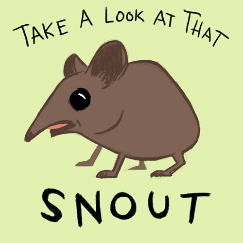 Take A Closer Look At That Snout By Alykat801 On Deviantart