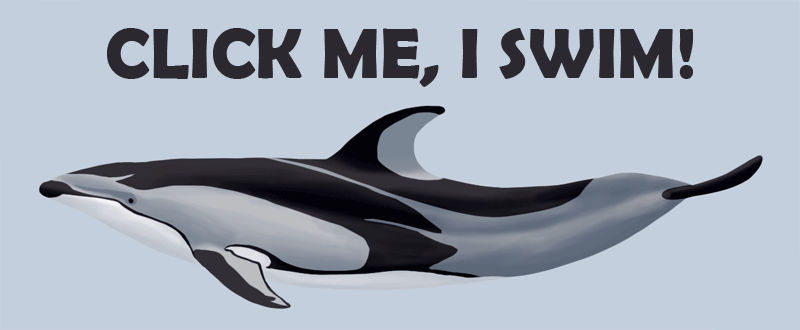 Pacific White Sided Dolphin Swimming Animation By Namu The Orca On