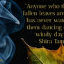 Fallen Leaves