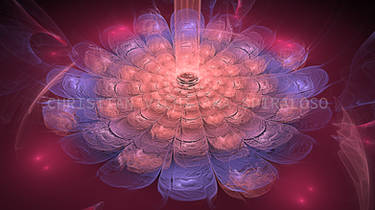 Tamirat - 5K Flower Fractal Wallpaper