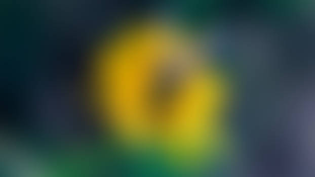 Impollinated - 5K Macro Nature Wallpaper