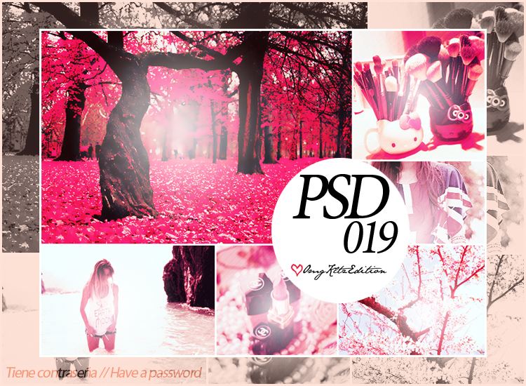 PSD 019