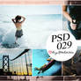 PSD 029