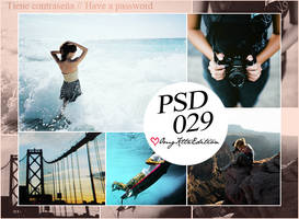 PSD 029