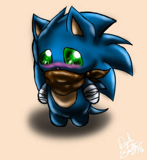 Sonic Boom Chibi