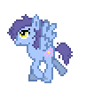 Aster Pony
