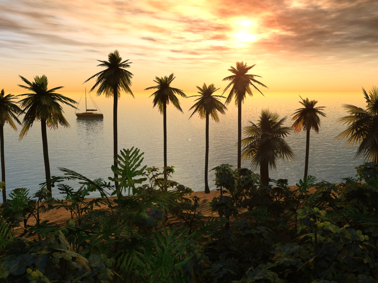 Paradise Discovered