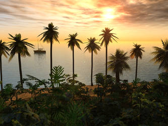 Paradise Discovered