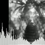 SOLNOKTIS - [ETHOS] 2026 (FULL SET)