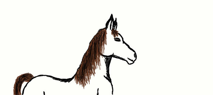 horse