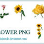 9 flower png