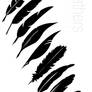 Vector Feathers -- HL