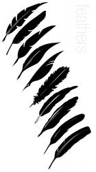 Vector Feathers -- HL