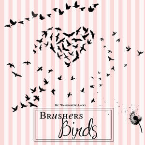 Brusher Birds