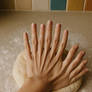 Poly Baking Animated - 10 fingers and thumbs