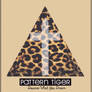 Pattern Tiger