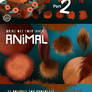 Animal Fur 2