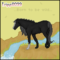Born To Be Wild Avatar by SnowArray