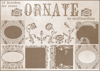 Ornate Icon Sized Brushes