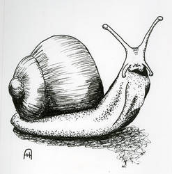 Snail