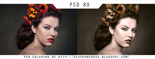 [ 80 ] PSD COLORING