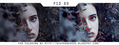 [ 89 ] PSD COLORING