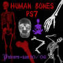 Human Bones Brush Set