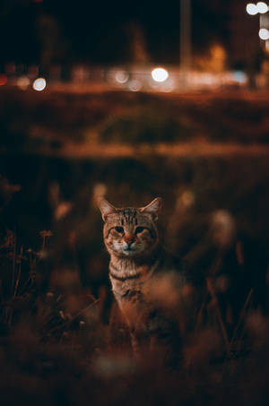 Oh, you're taking a picture? Of me?, de unrxmarkable