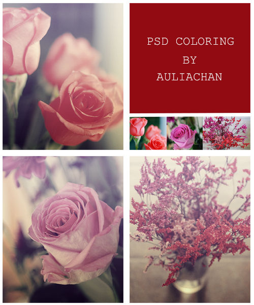 PSD coloring 01230115 by auliachan on DeviantArt