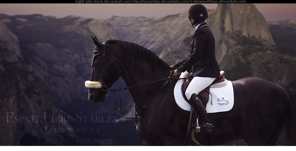 ELS Custom by ehmdesigns on DeviantArt