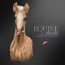 Equine Brushes - 135 brushes for equine artists