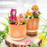 Nezuko + Zenitsu Desk Plants
