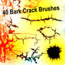 40 Bark Crack Brushes